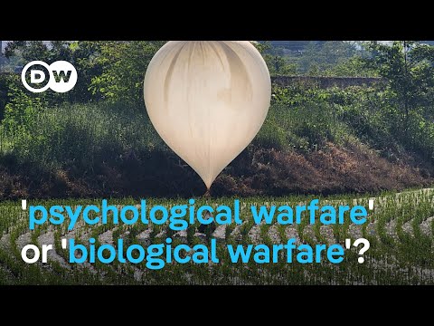 North Korea sends balloons of waste to South Korea | DW News