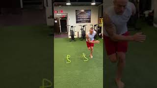 Skater 2 Hurdle Hops (reactive to stick)