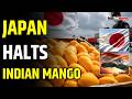 Japan Suspends Indian Mango Imports
