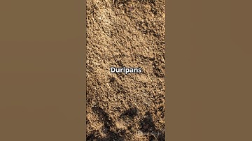 Hard as Rock, Silent as Soil – That’s Duripan #soil #asrbnet #study #facts #science #agriculture