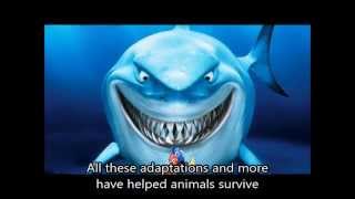 Introduction to Adaptation