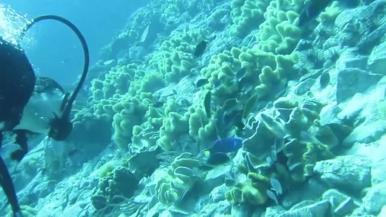 Koh Chang Diving Dec 2013 YouTube