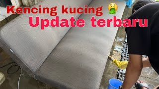 MENGHILANGKAN BAU KENCING KUCING DALAM 1 MENIT (laundry sofa)