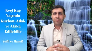 Keçi Kaç Yaşında Kurban, Adak Ve Akika Edilebilir (Şafiiler, Hanefiler)