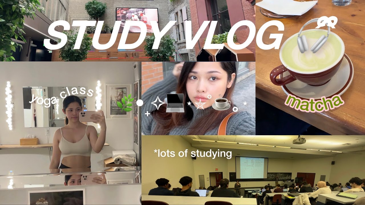 productive days⋆ 🍵˚: lots of studying, uni life, cafe study, yoga class