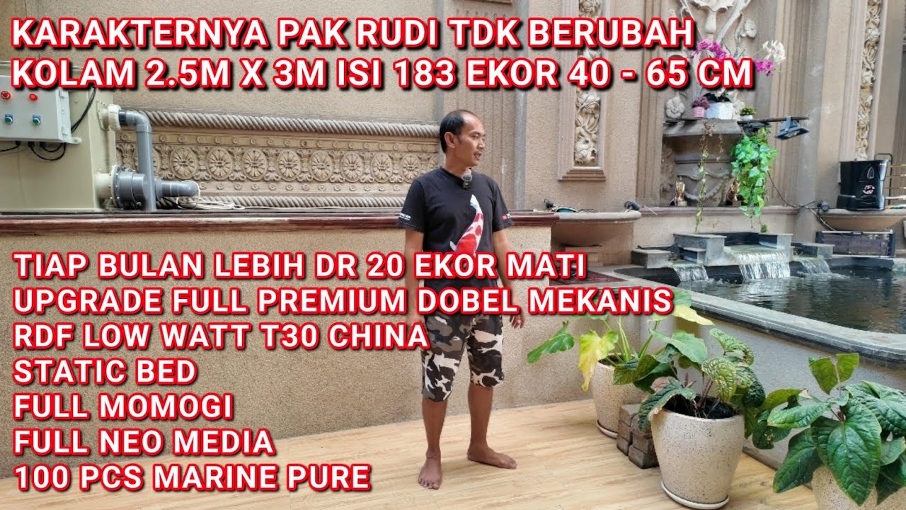 PAK RUDI MULAI BERAKSI PANTANG MENYERAH UPGRADE FULL PREMIUM | PAKUWON ...