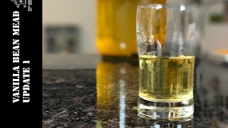 Vanilla Bean Mead US 05 Update 1