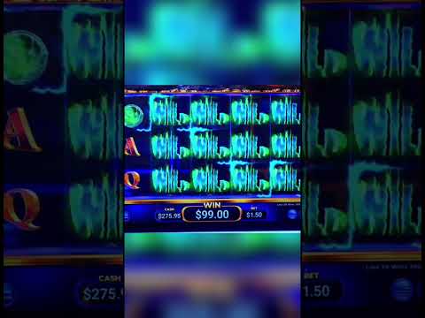 A Winning Session, and a TikTok Rant