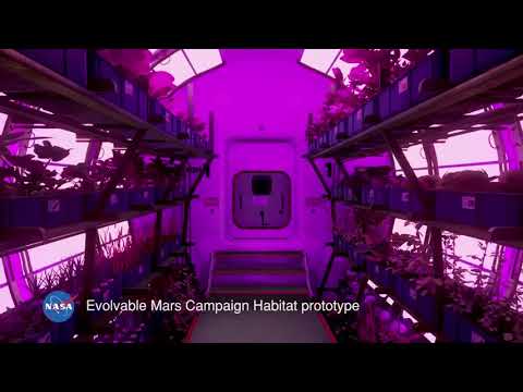 კოსმოსის ათვისების გლობალური პროექტი