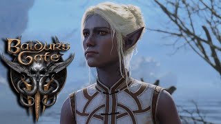 Companions Leave | Baldurs Gate 3 @DanaDuchy