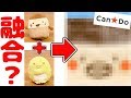 【ゆる動画】キャンドゥで発見!!ぺんぎん？とすずめを融合したようなキャラがいました(笑) すみっコぐらし 100均購入品紹介♪ fromegg