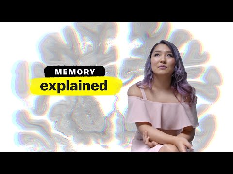 Memory, Explained | FULL EPISODE | Vox + Netflix