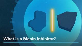 What Is A Menin Inhibitor?