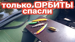 Только ОРБИТЫ выручили.  ZipBaits Orbit 110 и 90. Сентябрьская Рыбалка на реке Ворона.