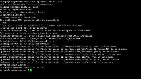 How to Create A New File with Vi/Vim Text Editor on Linux
