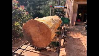 HM130 Max Takes on a Big Western Red Cedar Log