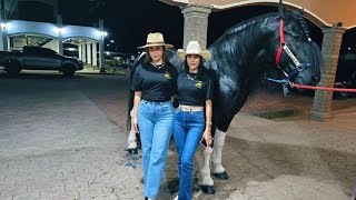 ASÍ puedes GANAR un CABALLO en EL SALVADOR 🇸🇻