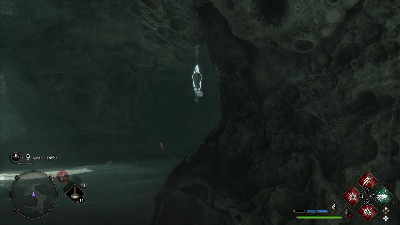 Hogwarts Legacy araña de tobbs