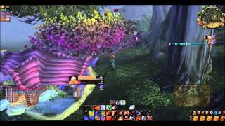 alakir hacker wsg