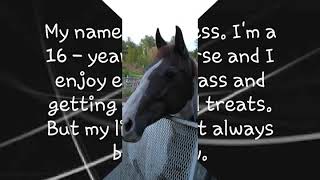 Help Duchess the Horse!