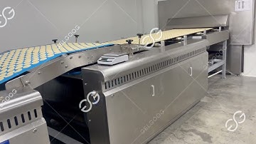 Automatic Biscuit Forming Machine, Biscuit Tunnel Oven