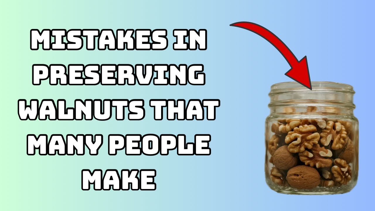 5 распространенных ошибок пожилых людей при употреблении грецких орехов (и как их избежать) | Сов...