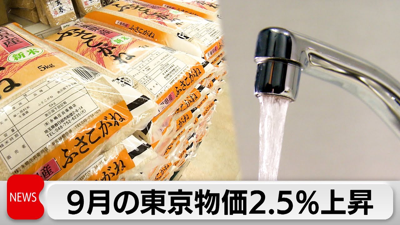 Tokyo Consumer Prices Increased 2.5% Year-on-Year, Rice Prices
