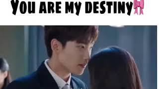 Çin Klip You Are My Destiny