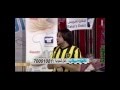 خبر عاجل عن علاء المنصري الرصيف 2 