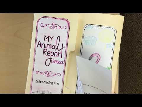 Animal Project - YouTube
