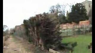Caversham Court Garden
