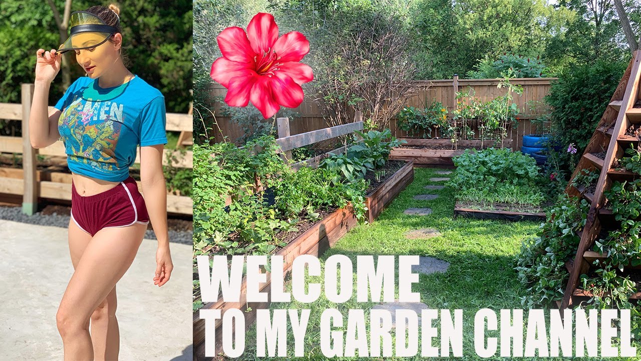 Welcome to Wolf Of The Wild, Holly Wolf's Second Channel