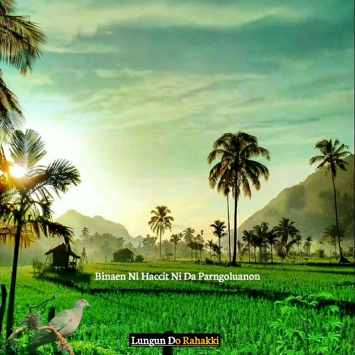 Story wa lirik batak lungun dorahakki