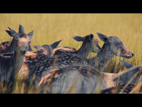 Balade en famille au jardin des merveilles