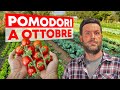 Orto di OTTOBRE: TUTTI gli ortaggi da coltivare