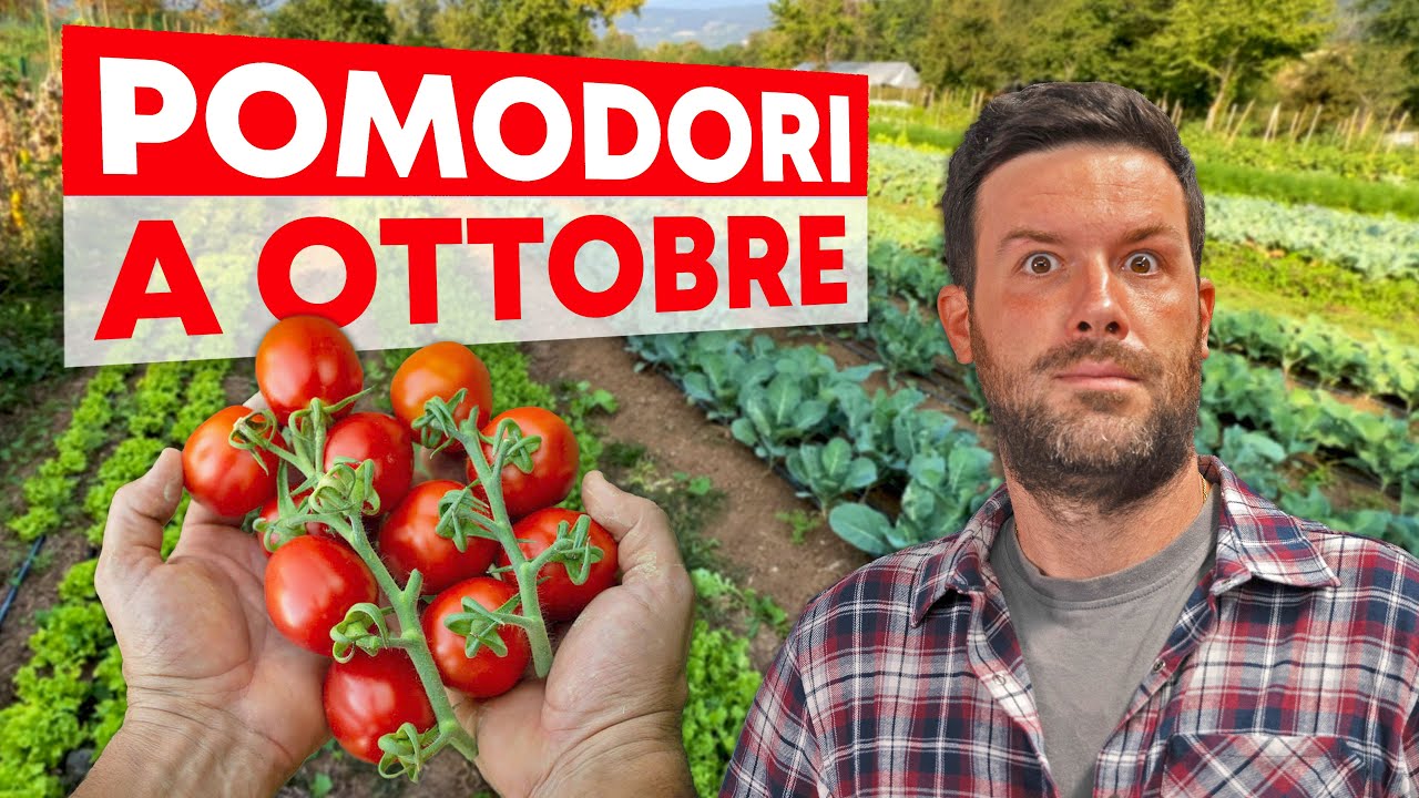 Orto di OTTOBRE: TUTTI gli ortaggi da coltivare - YouTube