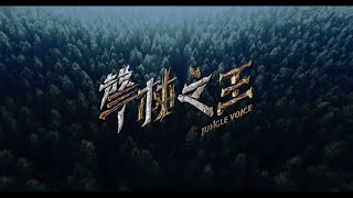 聲林之王3 重磅回歸 強力招募中jungle Voice 3 Youtube