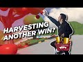 Can I HARVEST another COTD WIN? - Trackmania Cup of the Day