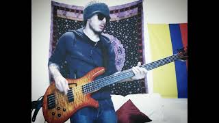 Devil Driver - Cold Blooded - Bass Guitar Cover by Andres Johnstone