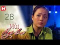 Mi ng gai  phn 1  tp 28  hplus phim tnh cm vit nam