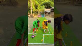 Team Blue Vs Team Yellowa Fun Backyard Challenge Full Of Color, Energy, And Friendly Compeion