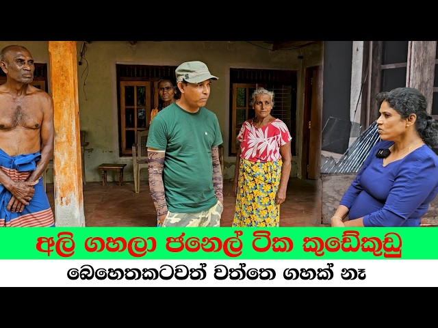 අලි ගහලා ජනෙල් ටික කුඩේකුඩු | බෙහෙතකටවත් වත්තෙ ගහක් නෑ
