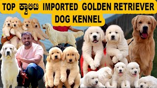 Call 9035585518 ಬೆಂಗಳೂರಿನ Top ಕ್ವಾಲಿಟಿ Imported Golden Retriever Dog Kennel
