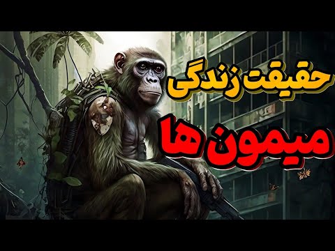زندگی میمون ها 10 حقیقت از زندگی میمون ها که تا به حال نشنیدید