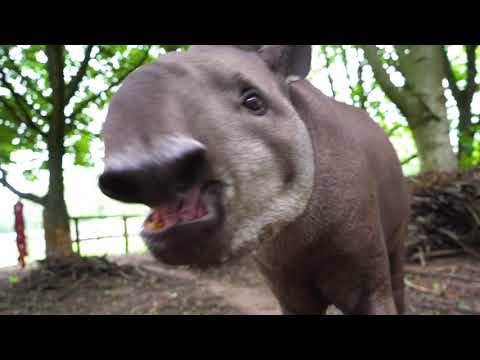 Reaseheath Mini Zoo: