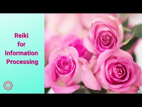 Reiki for Information Processing 💮