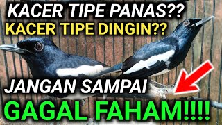 FULL ‼️ ILMU IBI BANDAR KACER KACER TIPE PANAS TIPE DINGIN DALAM PANDANGAN DR KACER