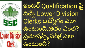 Lower Division Clerk Job(Work,Salary,Pramotions)Details | SSC LDC Job Profile