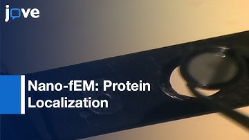 Photo-Activated Localization Microscopy & Electron Microscopy l Protocol Preview