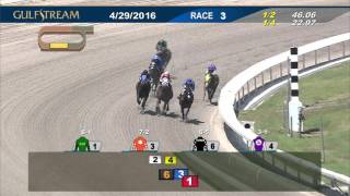 Gulfstream Park Race 3 | April 29, 2016